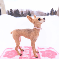 ミニピン 【小さなリアル】 オーダー   羊毛フェルト＋犬  ミニチュア・ピンシャー ペットロス 1枚目の画像