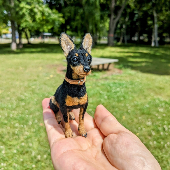 ミニピン 【小さなリアル】 オーダー   羊毛フェルト＋犬  ミニチュア・ピンシャー ペットロス 13枚目の画像