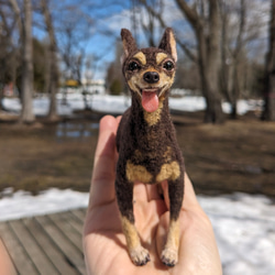 ミニピン 【小さなリアル】 オーダー   羊毛フェルト＋犬  ミニチュア・ピンシャー ペットロス 8枚目の画像