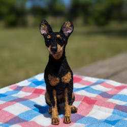 ミニピン 【小さなリアル】 オーダー   羊毛フェルト＋犬  ミニチュア・ピンシャー ペットロス 20枚目の画像