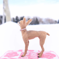 ミニピン 【小さなリアル】 オーダー   羊毛フェルト＋犬  ミニチュア・ピンシャー ペットロス 5枚目の画像