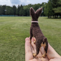 ミニピン 【小さなリアル】 オーダー   羊毛フェルト＋犬  ミニチュア・ピンシャー ペットロス 16枚目の画像