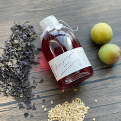 「梅と生姜の赤紫蘇蜜」懐かしく優しいシロップ 1枚目の画像