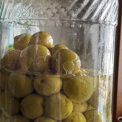 「梅と生姜の赤紫蘇蜜」懐かしく優しいシロップ 4枚目の画像