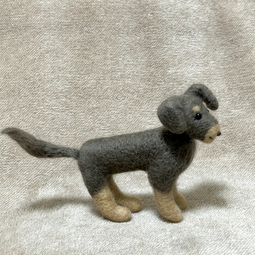 羊毛フェルト　チワックス チワックス⭐︎羊毛フェルト 羊毛フェルト yucca⭐︎ 通販 17091042