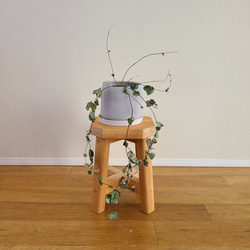 万能ミニスツール　花台　飾り台　椅子　踏み台　サイドテーブル　　無垢　天然　自然　シンプル　かわいい　おしゃれ 1枚目の画像