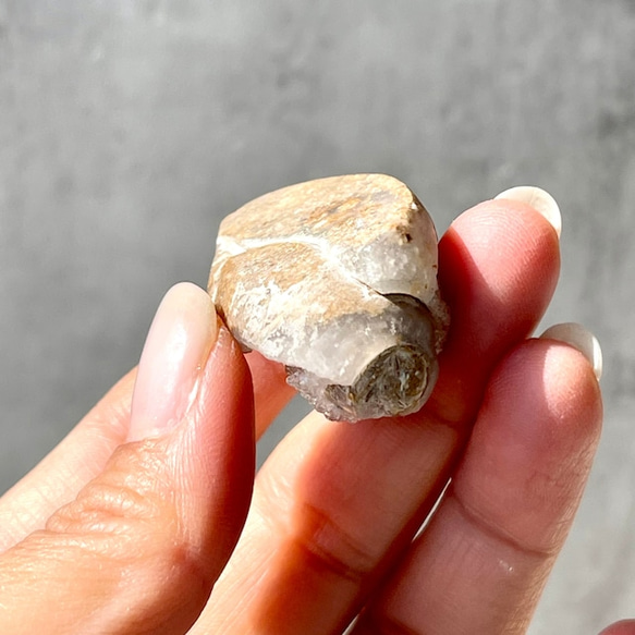 スパイラライト（Spiralite Fossil Shell） 天然石原石