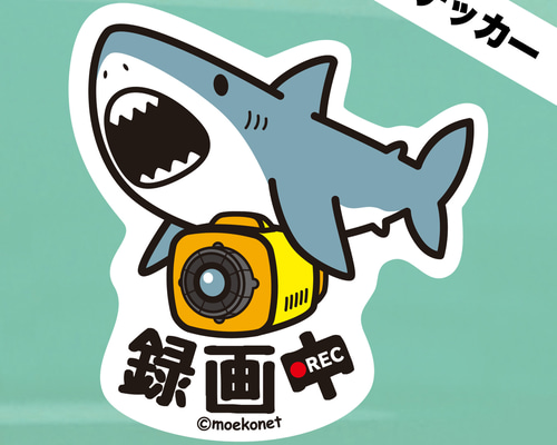 d30b8c9944783fa3f2fa038d9bfc07