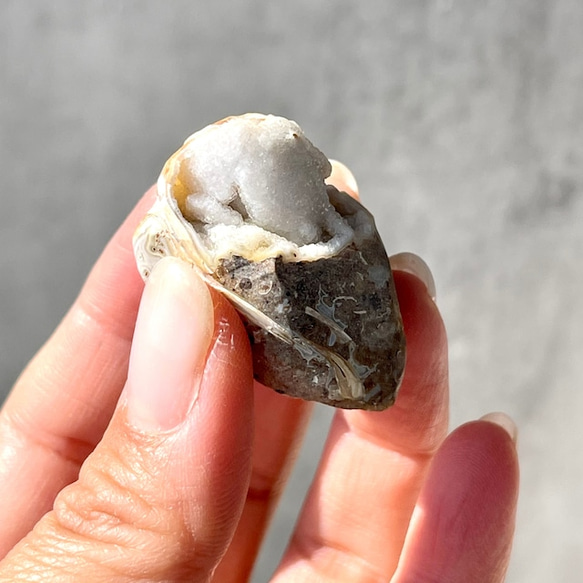 巻貝の化石 シェル【スパイラライト】中サイズ 貝の化石（17g）フォッシルシェル 天然石 太古の貝殻 ジェムシェル 8枚目の画像