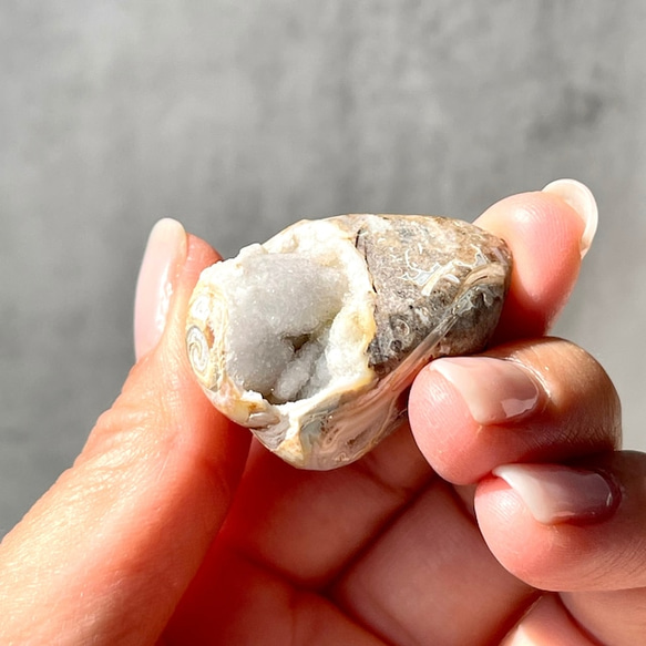 巻貝の化石 シェル【スパイラライト】中サイズ 貝の化石（17g）フォッシルシェル 天然石 太古の貝殻 ジェムシェル 17枚目の画像