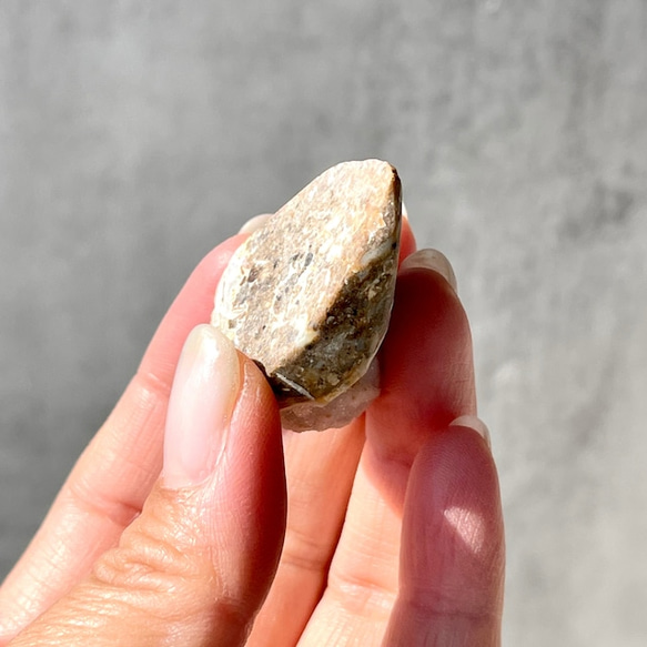 巻貝の化石 シェル【スパイラライト】中サイズ 貝の化石（17g）フォッシルシェル 天然石 太古の貝殻 ジェムシェル 16枚目の画像