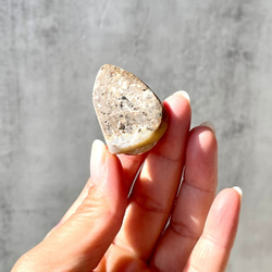 巻貝の化石 シェル【スパイラライト】中サイズ 貝の化石（17g）フォッシルシェル 天然石 太古の貝殻 ジェムシェル 13枚目の画像