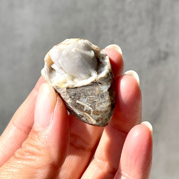 巻貝の化石 シェル【スパイラライト】中サイズ 貝の化石（17g）フォッシルシェル 天然石 太古の貝殻 ジェムシェル 2枚目の画像