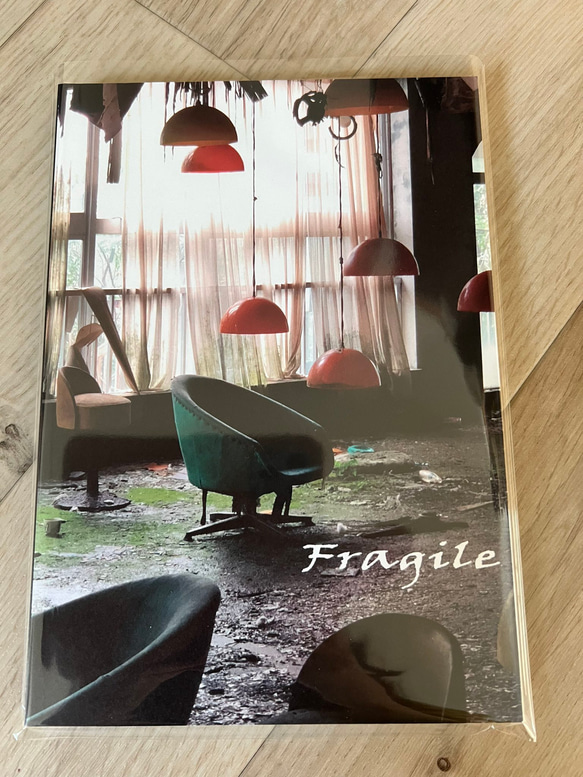 絶版 廃墟写真集 フォトグラファー PRIDE 墟 ぶんか社 中古本 絶版 廃墟写真集 フォトグラファー PRIDE 墟 ぶんか社 中古本