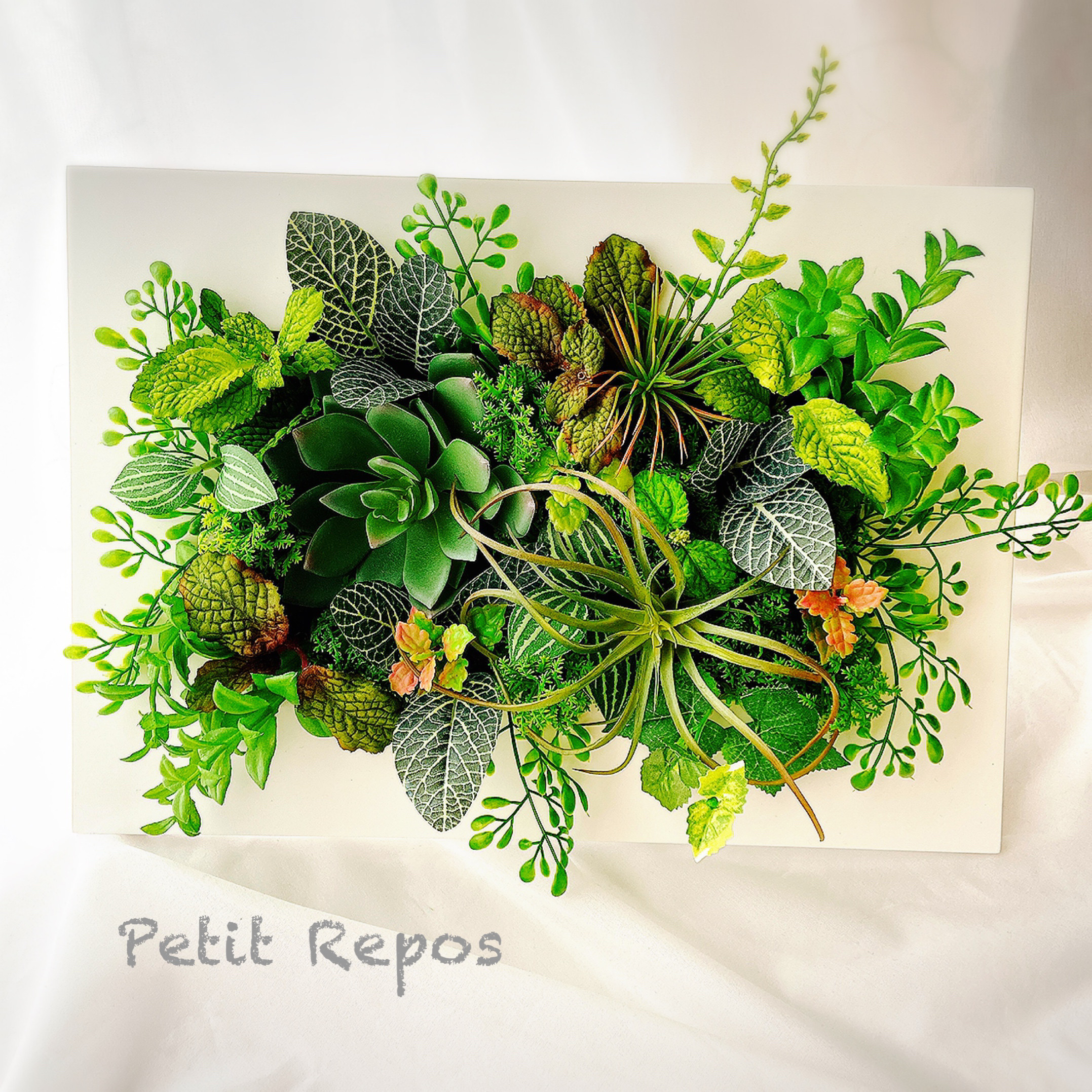 グリーンフレーム1