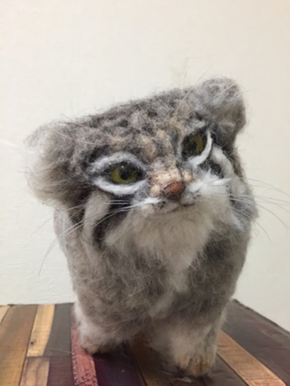 受注制作☆羊毛フェルトのマヌルネコ 歩いているポーズ 羊毛フェルト