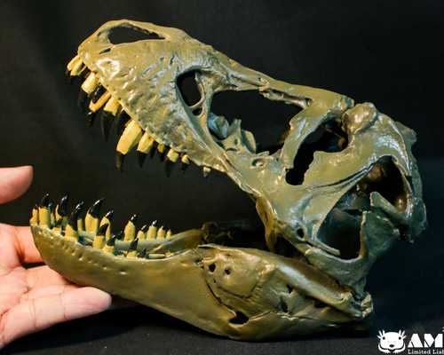 61efe95544f7af5b61c452d3118481