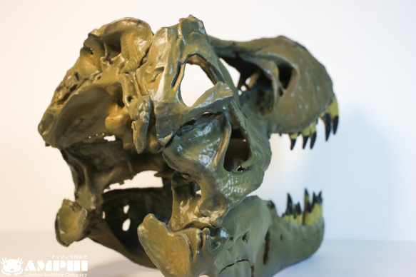 【受注生産】アンフィのオリジナルT.rex頭骨模型（スタンモデル）　18㎝ 9枚目の画像