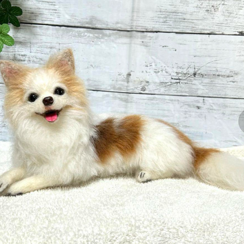 羊毛フェルト☆ハンドメイド☆【オーダーメイド】☆チワワ☆メモリアル