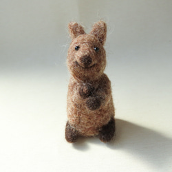 クウォッカちゃん 羊毛フェルト hinatabokko 通販 17092548｜Creema