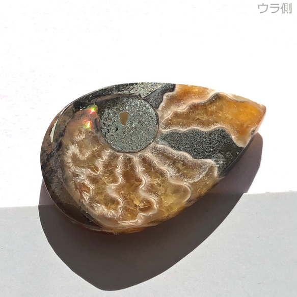 アンモナイト[122] 32x21mm 30Cts　天然石 ／ ルース ／カボション 2枚目の画像