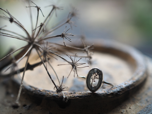 dendritic quartz silver ring (harumachi) 1枚目の画像