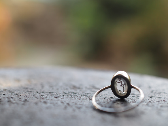 dendritic quartz silver ring (harumachi) 12枚目の画像