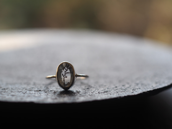 dendritic quartz silver ring (harumachi) 5枚目の画像