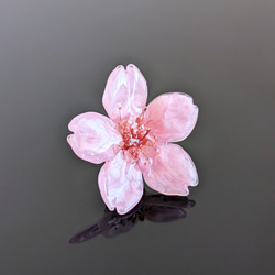 【受注制作】Early bloom. 本物のお花　こだわりのお花で仕上げる桜のタックピン／ブローチ　早咲き濃ピンク 5枚目の画像