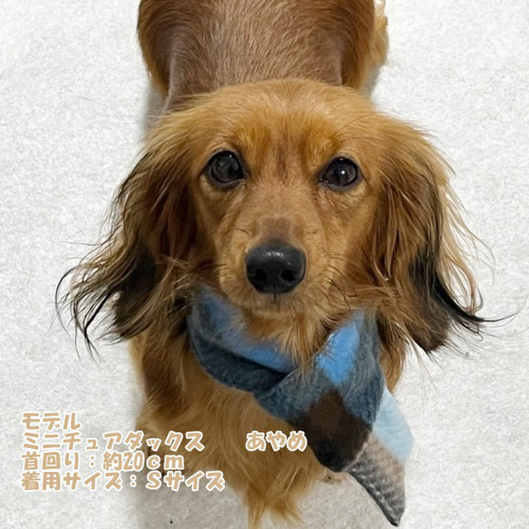 【NEW】 マフラー チェック柄 【サックス】 犬 猫 ドッグウェア Dog 暖か 冬 6枚目の画像