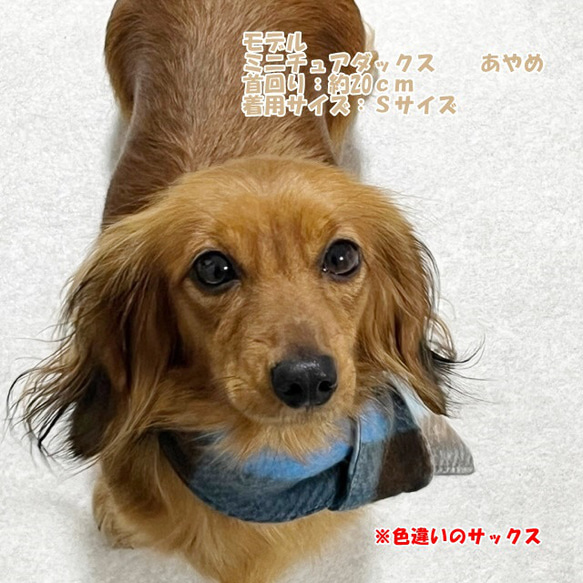 【NEW】 マフラー チェック柄 【ブラウン】 犬 猫 ドッグウェア Dog 暖か 冬 5枚目の画像