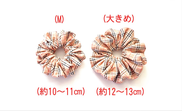  第4張的照片