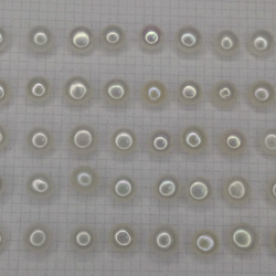 不揃い　淡水パール　片穴ボタン　５０個セット（D)　約5.5㎜～6.7㎜ミックス　照り・艶あり 2枚目の画像
