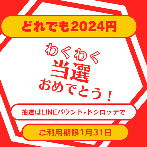 P2024  おめでとう2024お年玉2024円　当選者専用【送料無料】 1枚目の画像