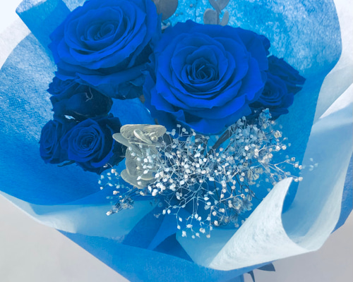 aa92142b4fafffffdcbf84f242064a