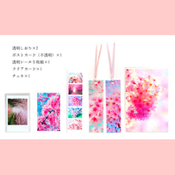 福ブクロ「桜」（透明しおり２枚・クリアカード・不透明ポストカード・シール・チェキ） 2枚目の画像