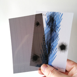 竜のスリットアニメ　カード 10枚目の画像