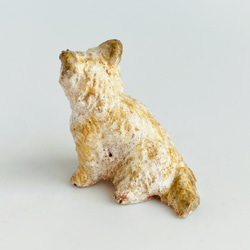 ケアンテリア（cairn terrier） 4枚目の画像