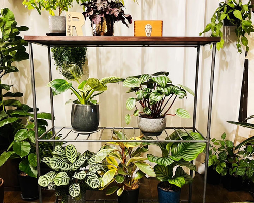 都内23区配送無料】モスグリーンアイアンとナチュラルウッド5段