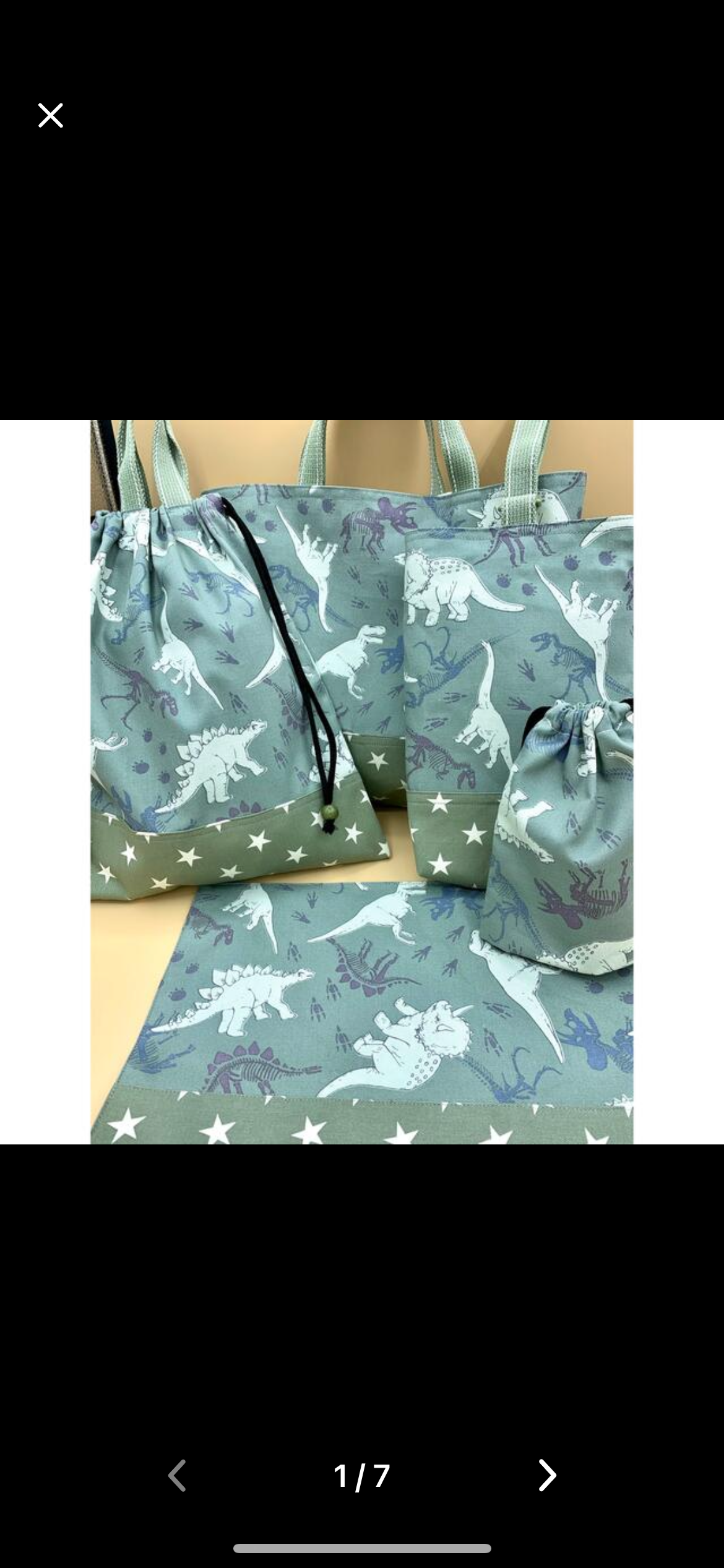 入園入学レッスンバックセット　恐竜柄 4,316円