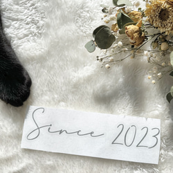 ＊購入前にお読みください＊ 2枚目の画像