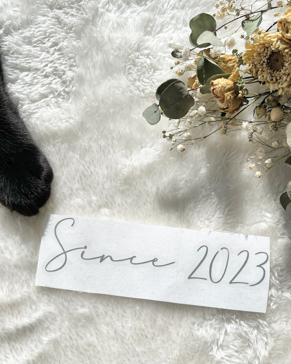 ＊購入前にお読みください＊ 2枚目の画像