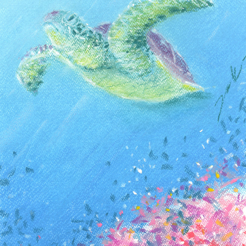 ウミガメとサンゴ（パステル画・マット紙付き）額縁：太子 絵画