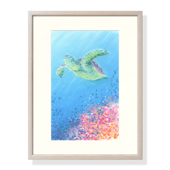 ウミガメとサンゴ（パステル画・マット紙付き）額縁：太子 絵画
