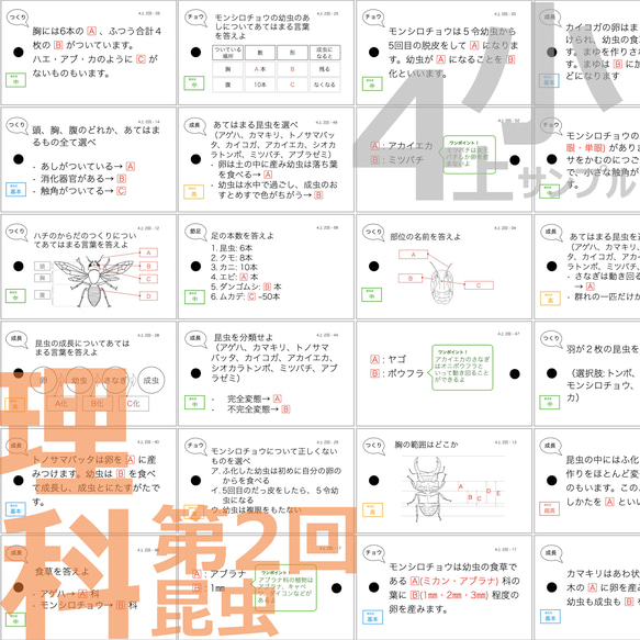 中学受験 暗記カード【4年上 理科・社会 全セット 1-19回】 組分けテスト対策 10枚目の画像