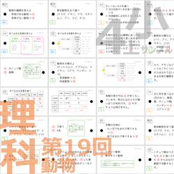 中学受験 暗記カード【4年上 理科・社会 全セット 1-19回】 組分けテスト対策 17枚目の画像