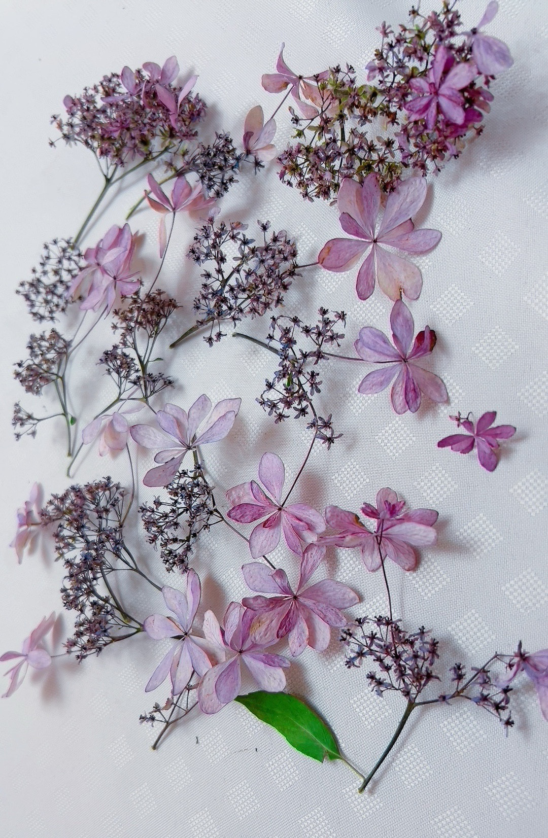 【未開封送料無料】淡路フラワー 2002 FLOWER  AWAJI 楽天市場】フラワーアレンジ 花 季節のおまかせ 生花アレンジ S