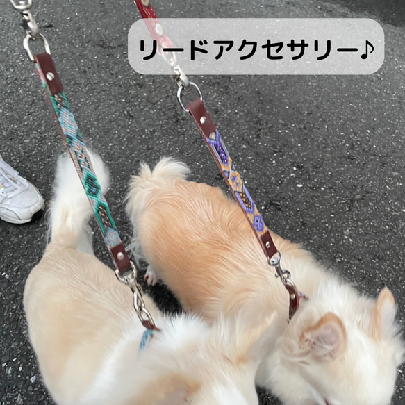【桜ハンドメイド2024】リードアクセサリー　犬　ハーネスアクセサリー　犬用品　小型犬　パレットカラー  a0003 10枚目の画像