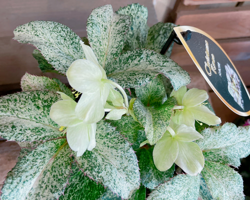 56a9759c0ca9a5c2471d72355e6472