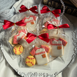 【5袋からフルオーダー】ユニフォーム•制服 オーダーアイシングクッキー 19枚目の画像